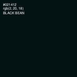 #021412 - Black Bean Color Image